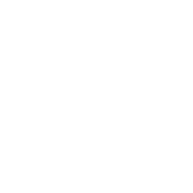 TRUE Original Document QRCODE