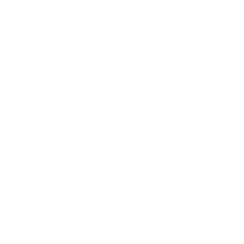 TRUE Original Document QRCODE