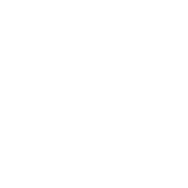 TRUE Original Document QRCODE