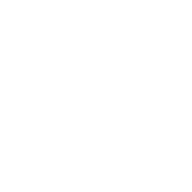 TRUE Original Document QRCODE