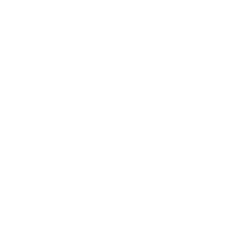 TRUE Original Document QRCODE