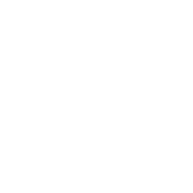 TRUE Original Document QRCODE