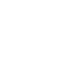 TRUE Original Document QRCODE