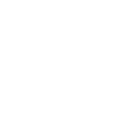 TRUE Original Document QRCODE