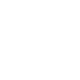 TRUE Original Document QRCODE
