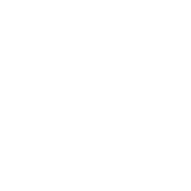 TRUE Original Document QRCODE