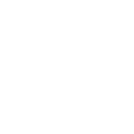 TRUE Original Document QRCODE