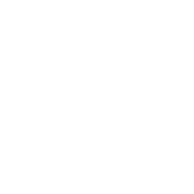 TRUE Original Document QRCODE
