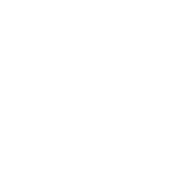 TRUE Original Document QRCODE