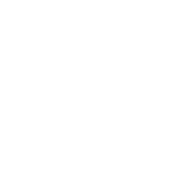 TRUE Original Document QRCODE