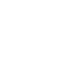 TRUE Original Document QRCODE