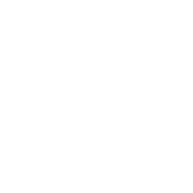 TRUE Original Document QRCODE