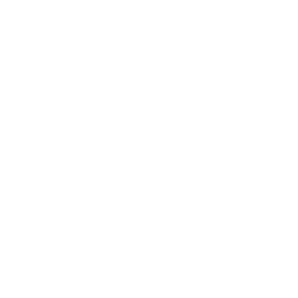 TRUE Original Document QRCODE