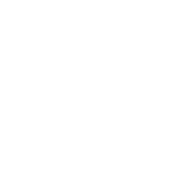 TRUE Original Document QRCODE