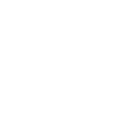 TRUE Original Document QRCODE