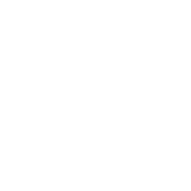 TRUE Original Document QRCODE