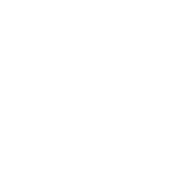 TRUE Original Document QRCODE