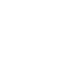 TRUE Original Document QRCODE