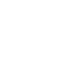 TRUE Original Document QRCODE