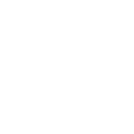 TRUE Original Document QRCODE
