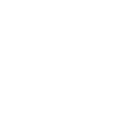 TRUE Original Document QRCODE